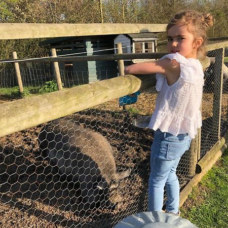 Willow Court Farm Studio East & Petting Farm, 8 Mins To Legoland & Windsor, 15 Mins To Lapland Uk Exteriör bild