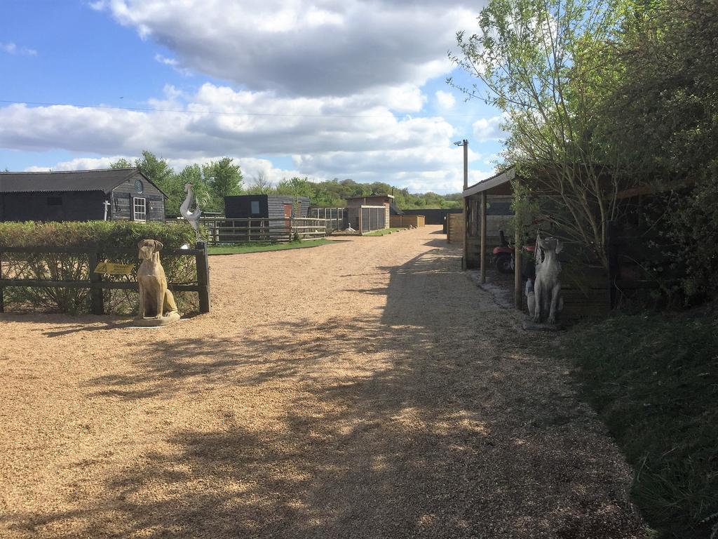 Willow Court Farm Studio East & Petting Farm, 8 Mins To Legoland & Windsor, 15 Mins To Lapland Uk Exteriör bild