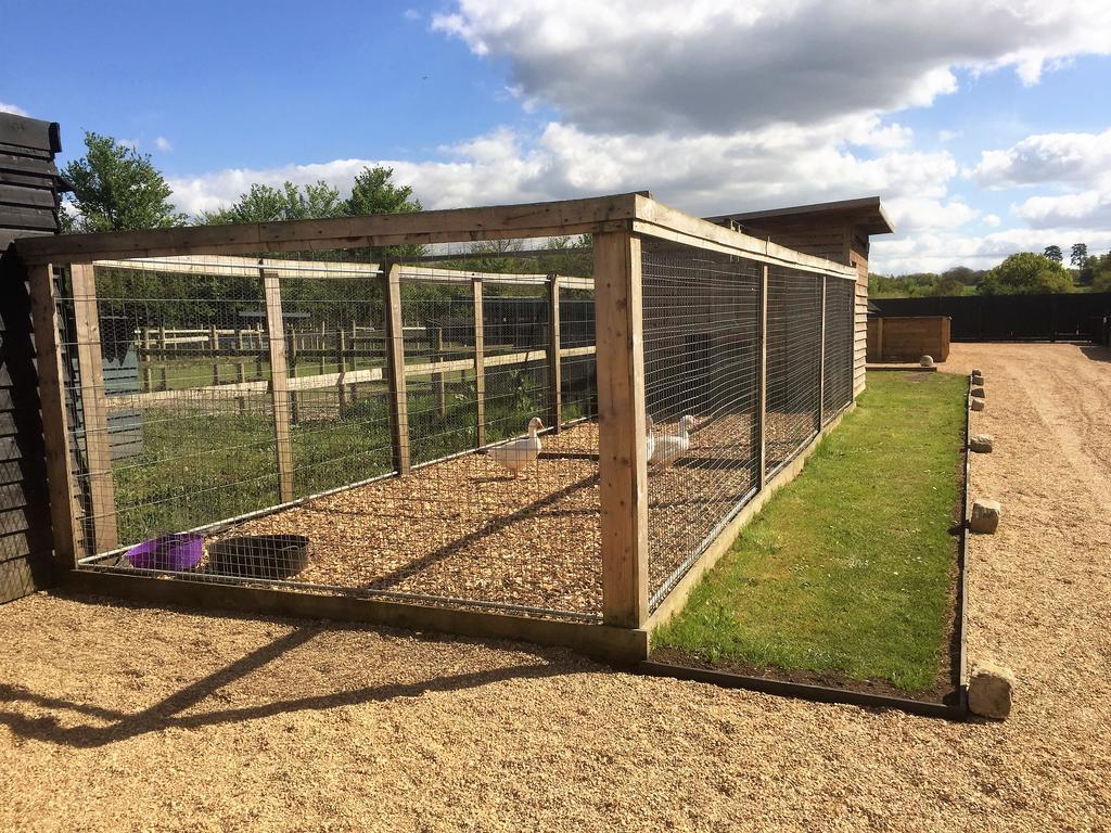 Willow Court Farm Studio East & Petting Farm, 8 Mins To Legoland & Windsor, 15 Mins To Lapland Uk Exteriör bild