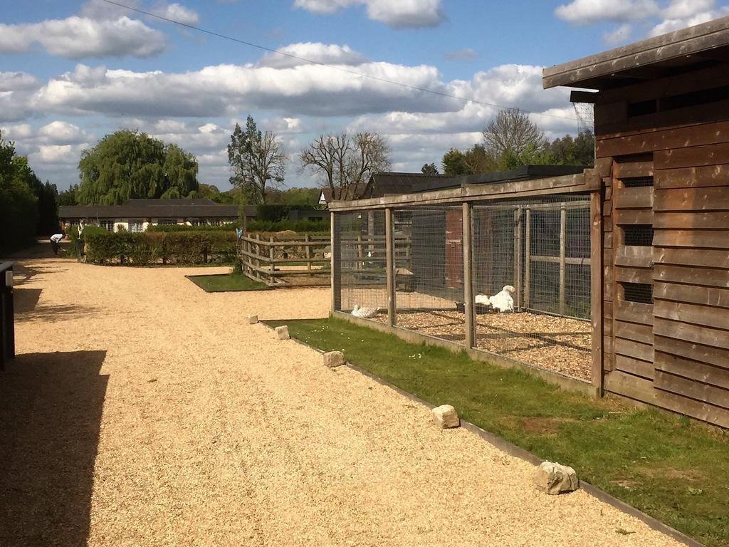 Willow Court Farm Studio East & Petting Farm, 8 Mins To Legoland & Windsor, 15 Mins To Lapland Uk Exteriör bild