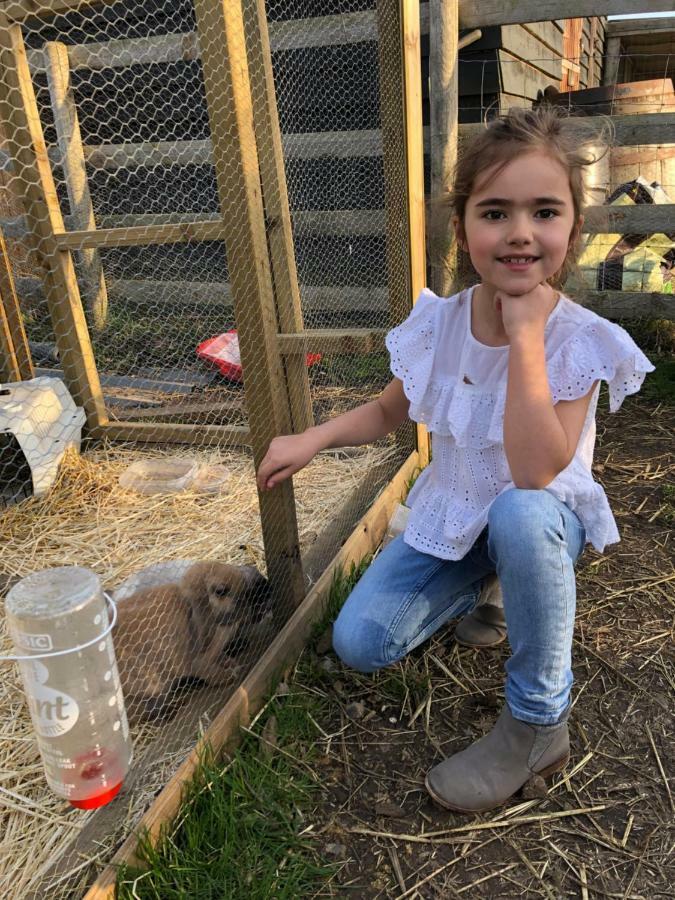 Willow Court Farm Studio East & Petting Farm, 8 Mins To Legoland & Windsor, 15 Mins To Lapland Uk Exteriör bild