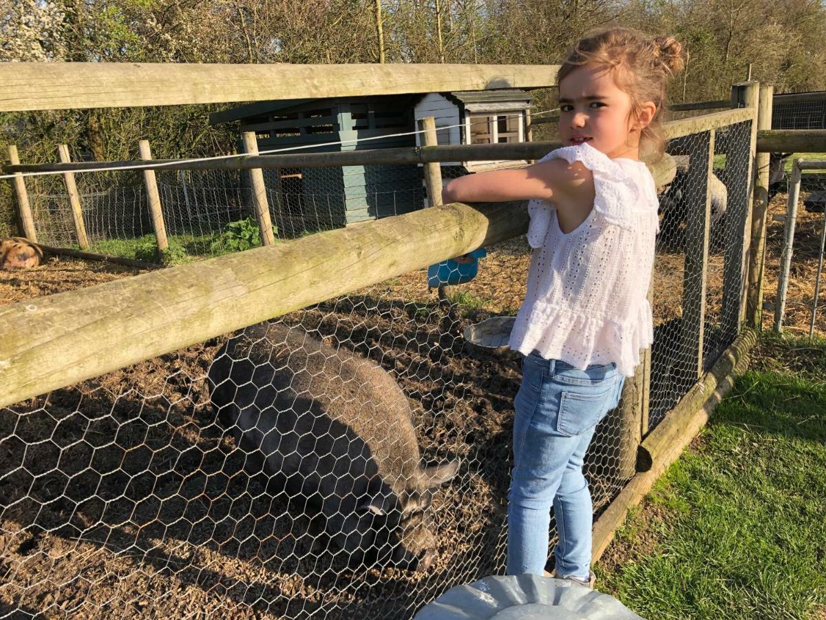 Willow Court Farm Studio East & Petting Farm, 8 Mins To Legoland & Windsor, 15 Mins To Lapland Uk Exteriör bild