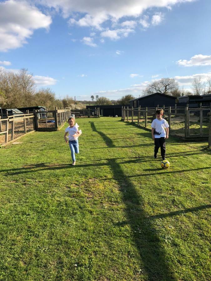Willow Court Farm Studio East & Petting Farm, 8 Mins To Legoland & Windsor, 15 Mins To Lapland Uk Exteriör bild