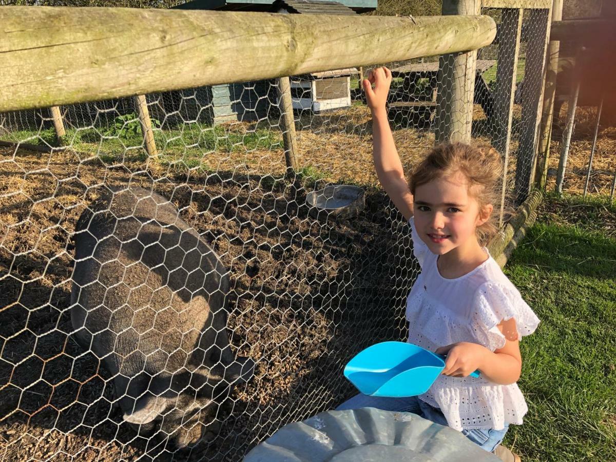 Willow Court Farm Studio East & Petting Farm, 8 Mins To Legoland & Windsor, 15 Mins To Lapland Uk Exteriör bild